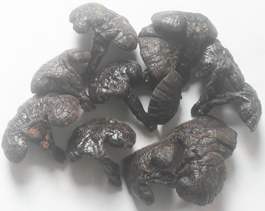 Nấm Lim Xanh Tự Nhiên